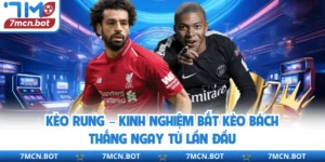 Kèo Rung – Kinh Nghiệm Bắt Kèo Bách Thắng Ngay Từ Lần Đầu